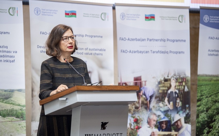 ФАО об ожиданиях от реализации программы партнерства с Азербайджаном