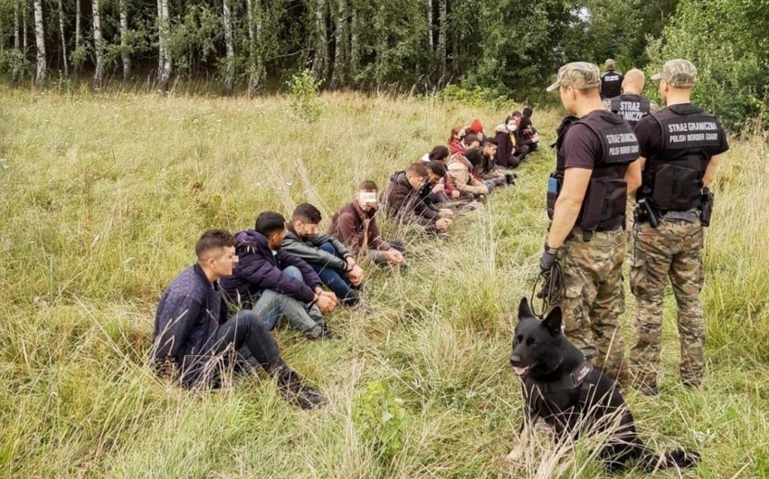 Польские пограничники не впустили 148 нелегалов из Беларуси за сутки