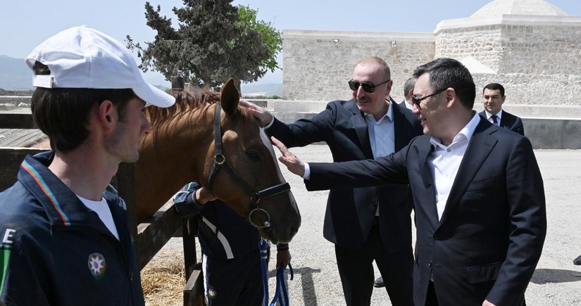 Qırğızıstan Prezidentinə Qarabağ atı hədiyyə edilib 