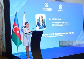 Aygun Aliyeva: International organizations should support Azerbaijan in demining
