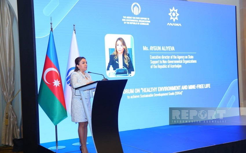 Aygun Aliyeva: International organizations should support Azerbaijan in demining