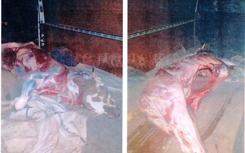 В Шамкирском районе Азербайджана выявлено 210 кг падали коровы