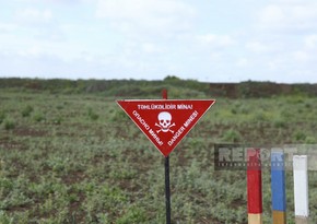 204 landmines neutralized in Azerbaijan’s liberated lands last week