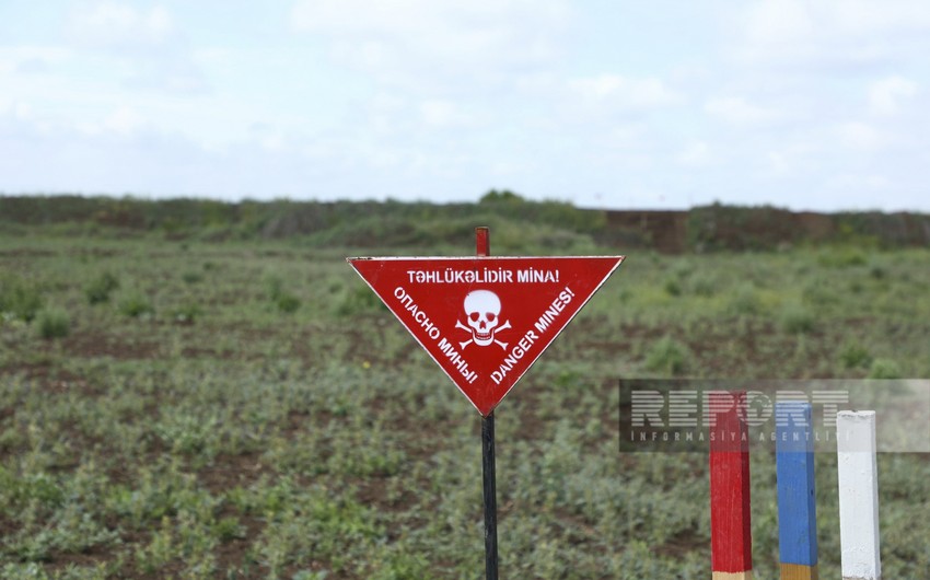 204 landmines neutralized in Azerbaijan’s liberated lands last week