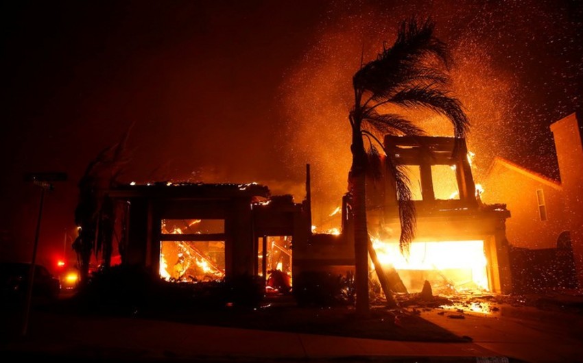 В Калифорнии пять человек погибли из-за лесных пожаров