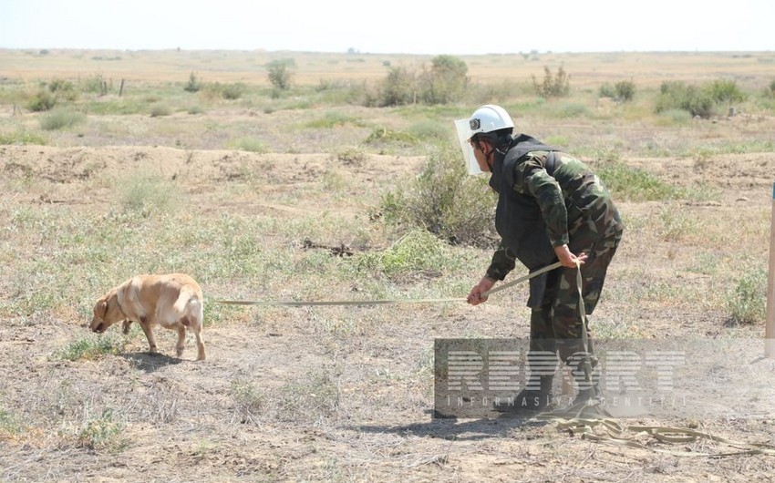 Ministry official speaks about progress of demining liberated areas