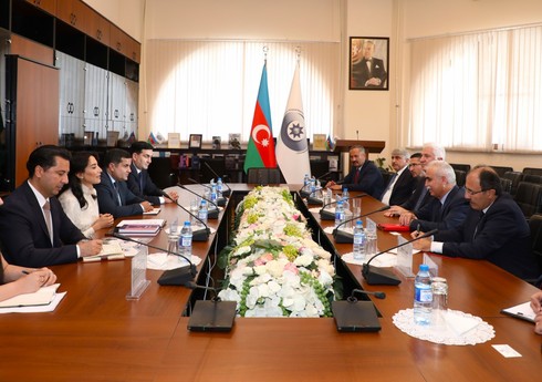 Омбудсмен Азербайджана встретилась с председателем Конституционного суда Турции