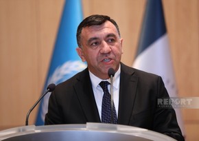 Deputy minister: Azerbaijan must develop green infrastructure and green ecosystem