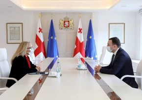 Georgian PM, Turkish ambassador mull effectiveness of regional projects 