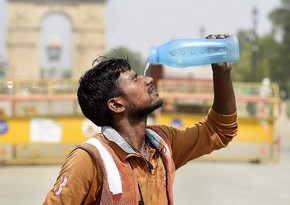 В столице Индии зафиксировали самую высокую температуру за историю наблюдений