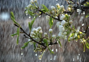 Rayonlara yağış yağır, Ağsuçaydan sel keçir - FAKTİKİ HAVA