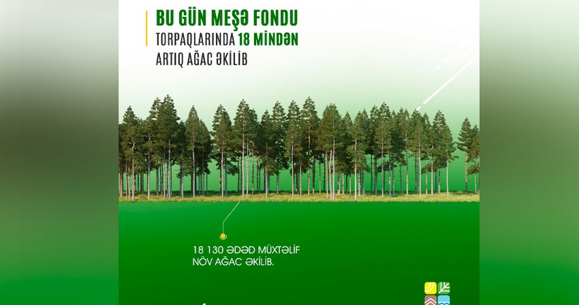 Bu gün meşə fondu torpaqlarında 18 mindən çox ağac əkilib