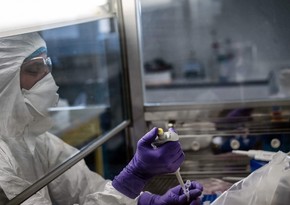 Koronavirusun Britaniya ştammı Avropanın 43 ölkəsində aşkarlanıb