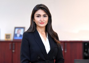 Samirə Musayeva: “Azərbaycanda karbon qiymətqoyma aləti tam aktiv işlədilmir”