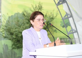 Official of Azerbaijan's Presidential Administration addesses youth