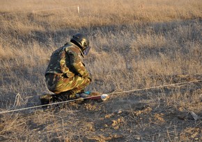 Азербайджанские и российские саперы обезвредили 210 мин