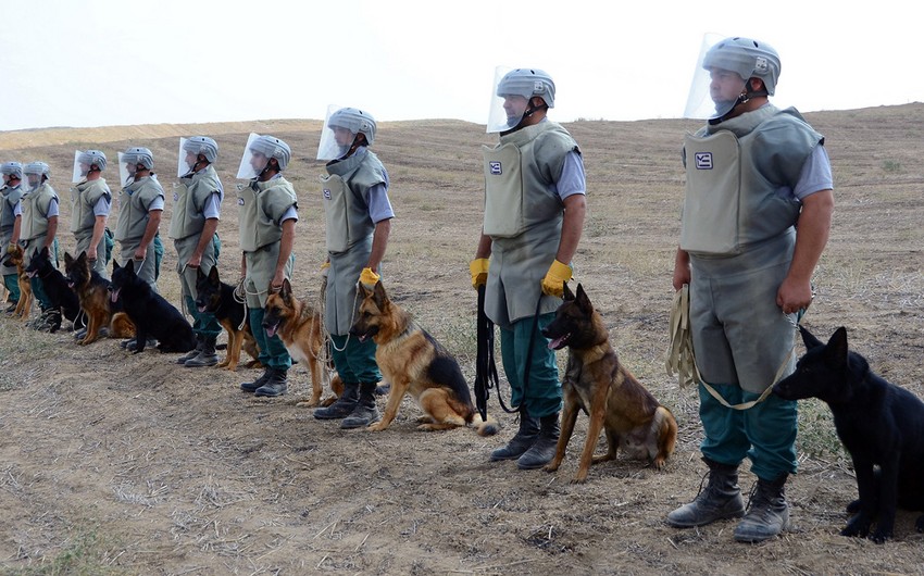 Nearly 1,000 unexploded ordnance found in Azerbaijan in June