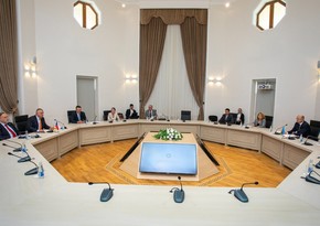 Çexiya şirkətləri Qarabağda günəş və külək enerjisi qurğuları istehsal edə bilər