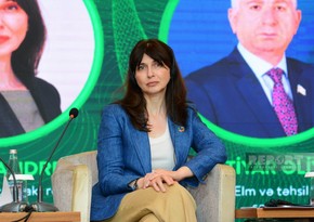 UN official: Azerbaijan should be ready for sustainable and green economy