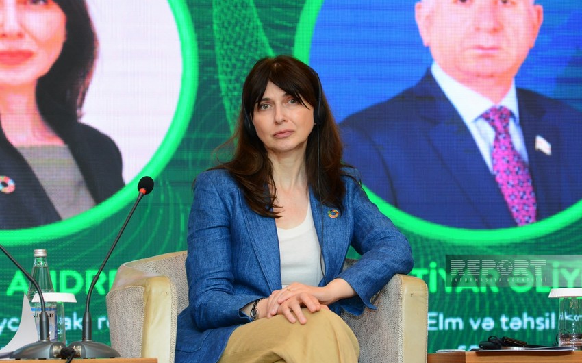 UN official: Azerbaijan should be ready for sustainable and green economy