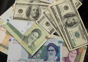 Report: Instability of US dollar exchange rate in Iran is temporary - ANALYTICS