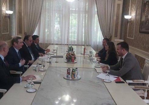 МИД Азербайджана и Черногории провели первые консульские консультации 