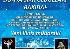 Baku State Circus invites Russian and Belarusian artists to Azerbaijan for New Year celebrations