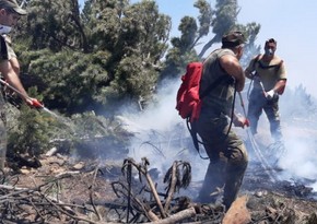 Azerbaijani firefighters contain nearly 100 fires in Turkey