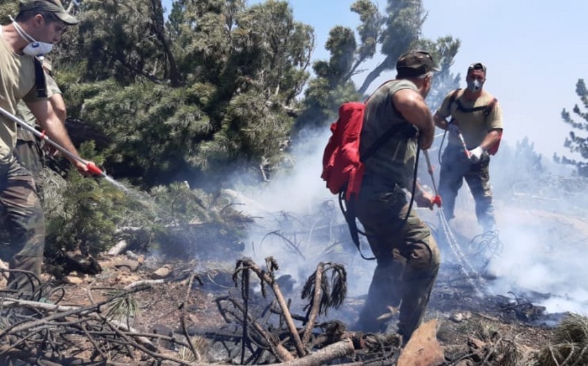 Azerbaijani firefighters contain nearly 100 fires in Turkey