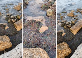 В Госслужбе экобезопасности изучили кадры с якобы загрязнением пляжа в Нардаране