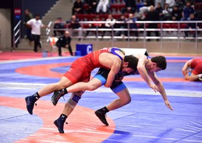 Стартовал чемпионат Азербайджана по вольной и греко-римской борьбе