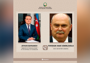 Azerbaijani FM holds phone call with newly appointed OSCE Secretary General