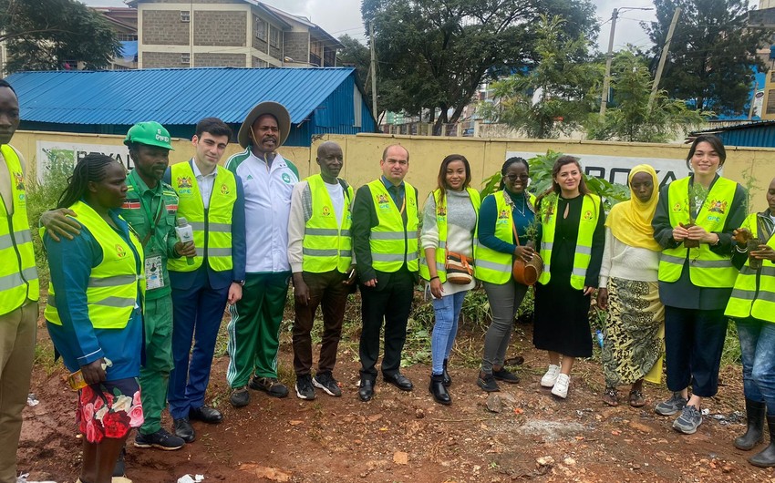 Azerbaijani NGOs participate in tree-planting campaign in Africa for first time