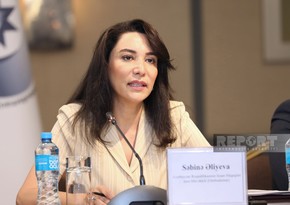 Ombudsman: Armenia continues its landmine terrorism even after delimitation