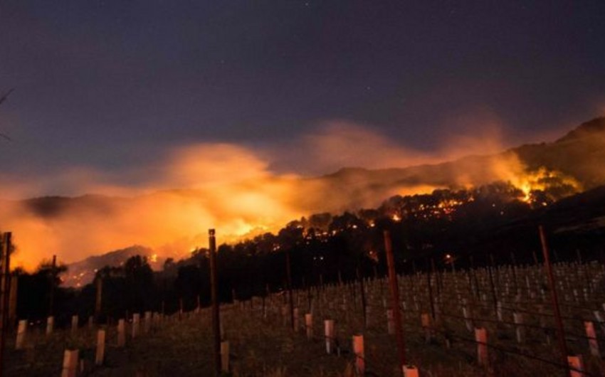 Kaliforniyada meşə yanğınları nəticəsində 10 nəfər ölüb