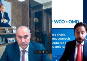 Safar Mehdiyev: Azerbaijani customs service stands for strengthening cooperation with WCO