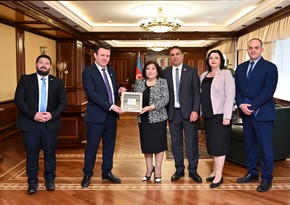 Milli Majlis Speaker Sahiba Gafarova receives members of Israel-Azerbaijan Friendship Group 