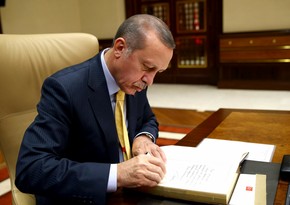 Эрдоган назначил новых заместителей главы МИД Турции