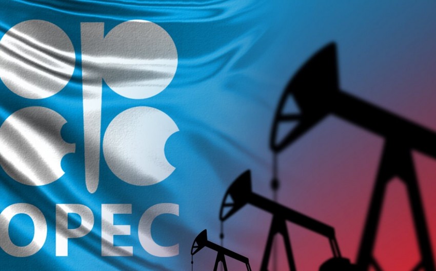 IEA ожидает восстановления утерянной доли стран ОПЕК+ на рынке нефти