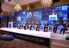 X Глобальный Бакинский форум: Состоялось панельное заседание на тему мегаугроз