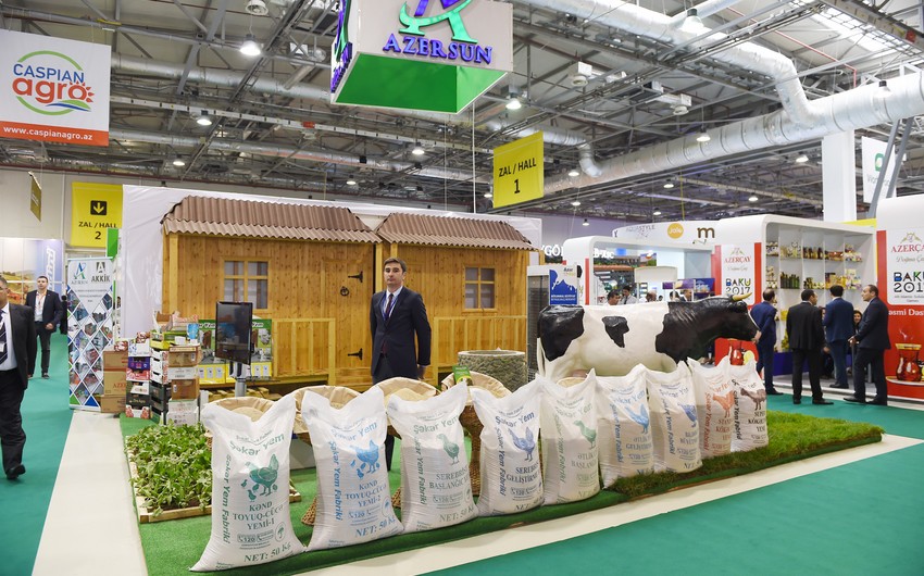 Президент ознакомился с азербайджанскими международными выставками пищевой промышленности и сельского хозяйства