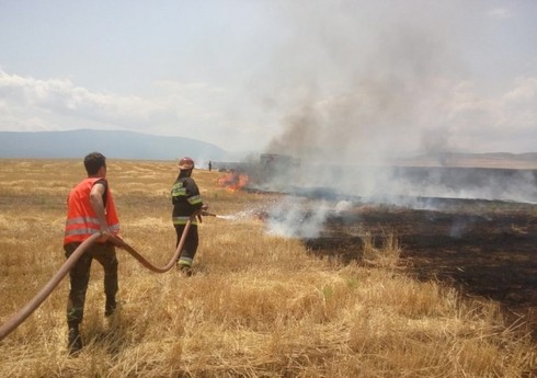 В Шабране сгорели 5 гектаров земли