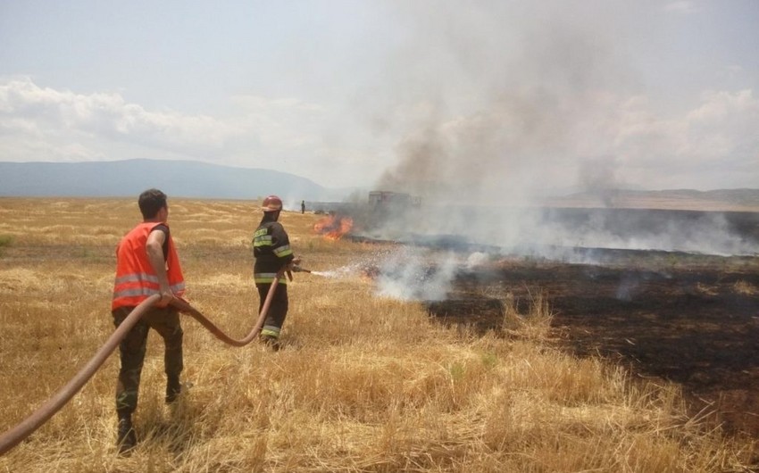 В Шабране сгорели 5 гектаров земли