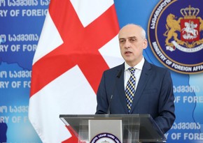 Gürcüstanın XİN başçısı: “Azərbaycan-Ermənistan sərhədindəki döyüş əməliyyatları dərhal dayandırılmalıdır”