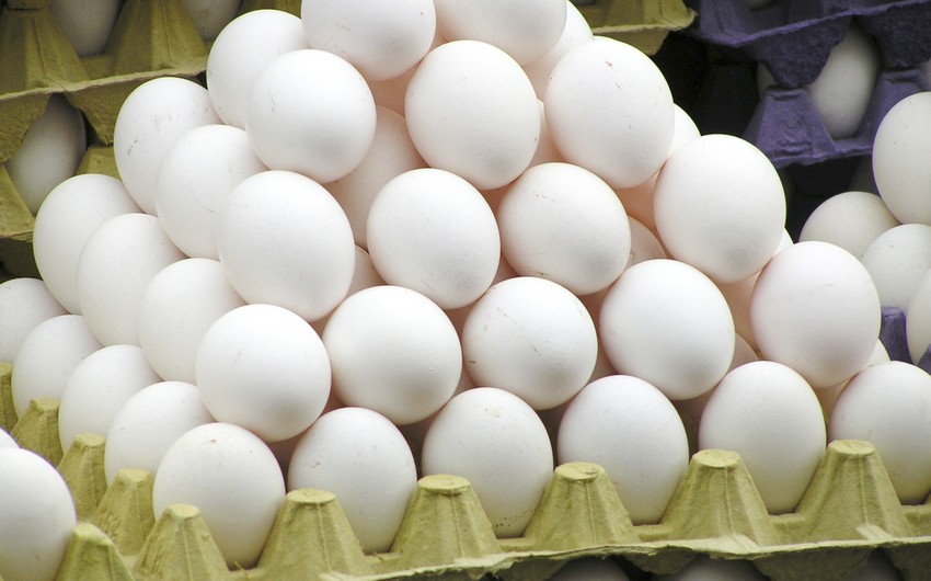 Поставки в Россию куриных яиц из Азербайджана достигли 4,2 млн штук