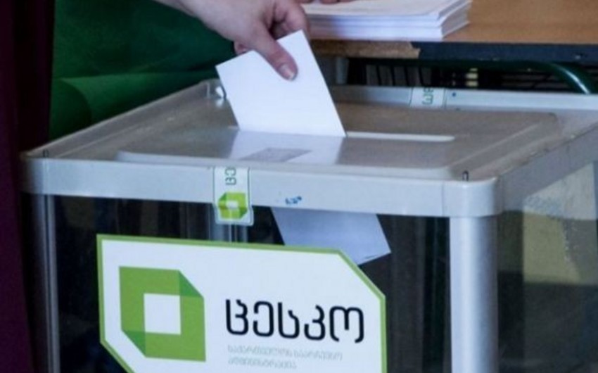 Правящая партия Грузии заявила о нарушениях в ходе выборов президента