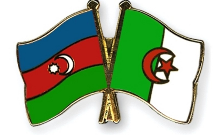 Махир Алиев назначен послом Азербайджана в Алжире