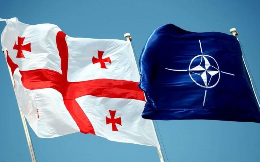 В Грузии планируется создать тренировочные центры военных НАТО