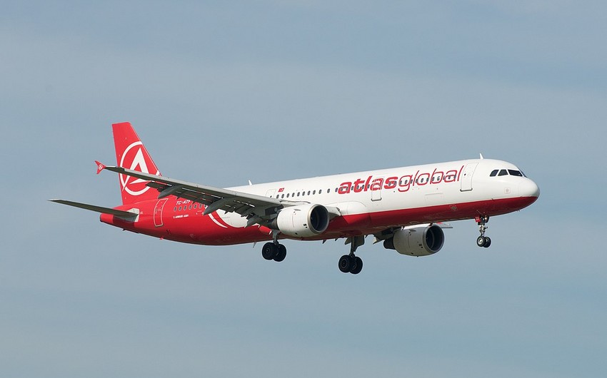 Türkiye's major airline company officially declares bankruptcy