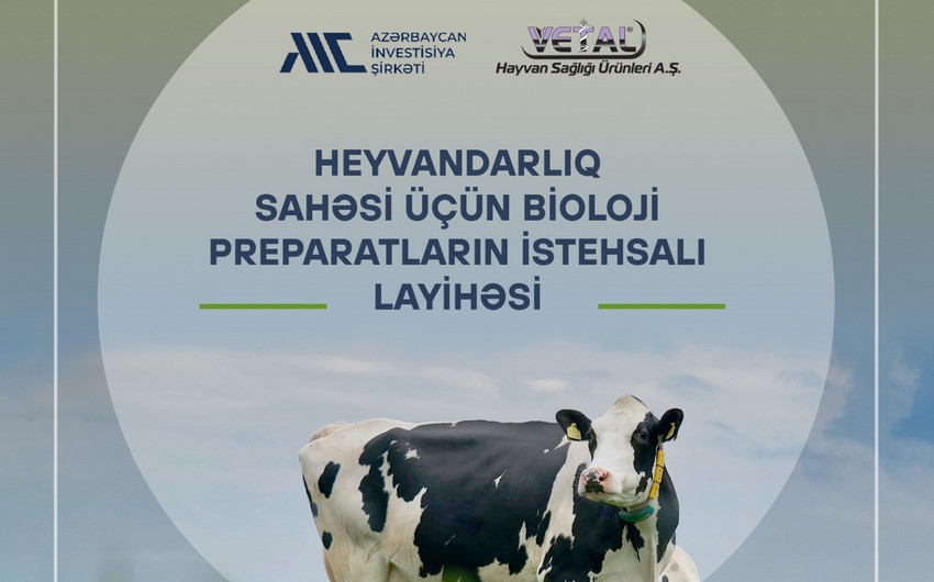 Турция инвестирует в производство биопрепаратов и вакцин в Азербайджане